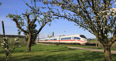 Les Aventuriers Du Rail Europe - N/A - Kiabi - 41.99€