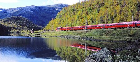 Vakantie Vatnahalsen-trein en hotel - Hoyfjellshotell