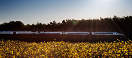 Poland by train - High Speed Train Yellow Flowers