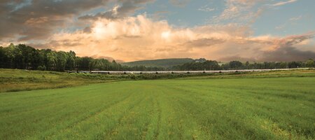 Rovos Rail: Golf Safari Pretoria - Durban Hills Meadow