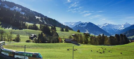 GoldenPass Line | Timetable, Reservations & Book Tickets