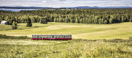 Inlandsbanen Rail Tour | Train in field