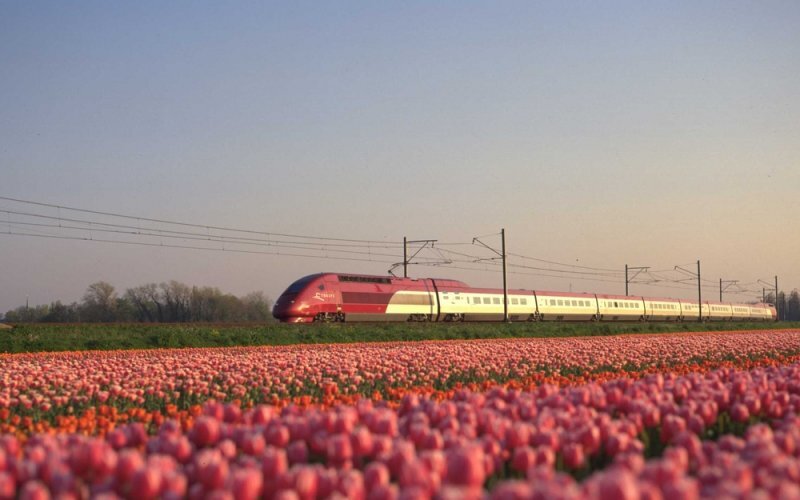 20 Trains Paris To Amsterdam C Best Price Timetable Happyrail