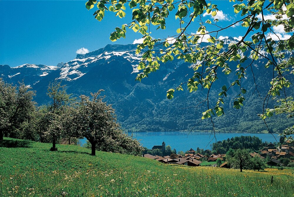 Treinrondreis Berner Oberland