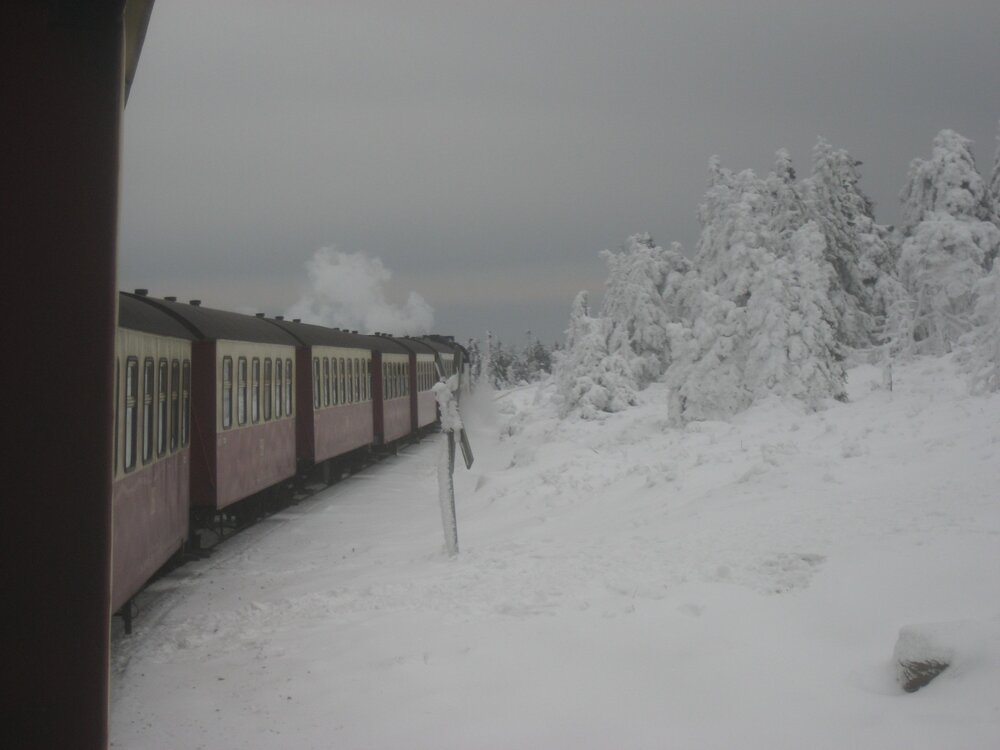 Stoomtreinen in de Harz | Rondreis Duitsland per Trein
