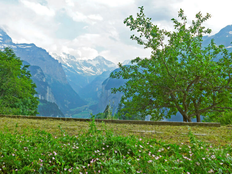 Treinvakantie Zwitserland | Trein en Huisje Wengen