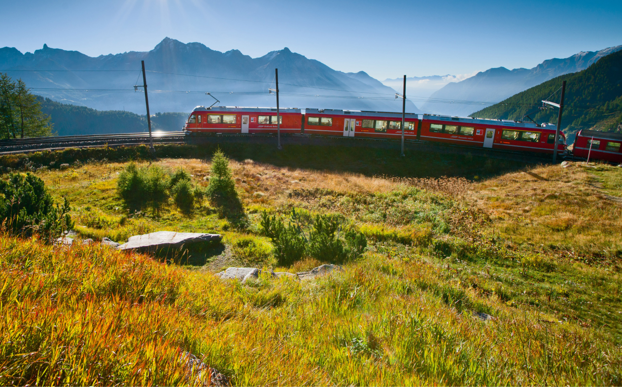 Rondreizen in Zwitserland - Bernina Express