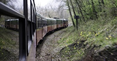 El Expreso de la Robla forest - Luxury train journeys