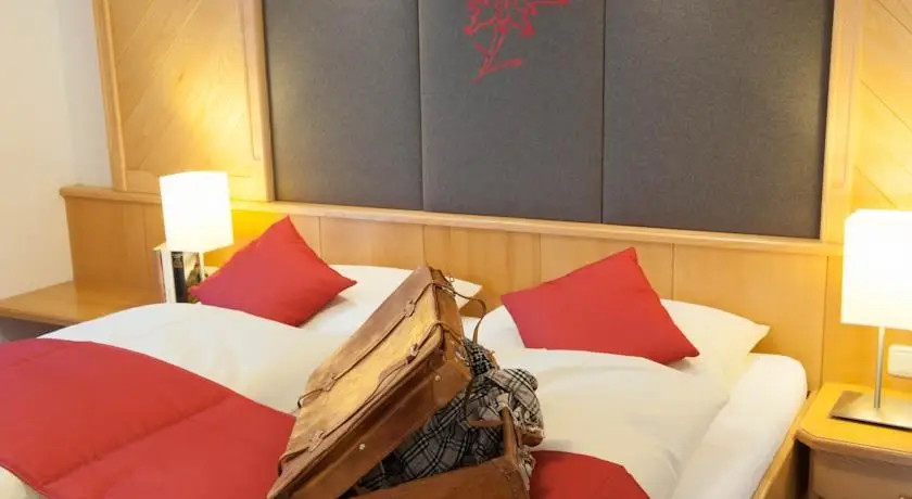 Vakantie Werfenweng - Trein en Hotel - Rohrmoser