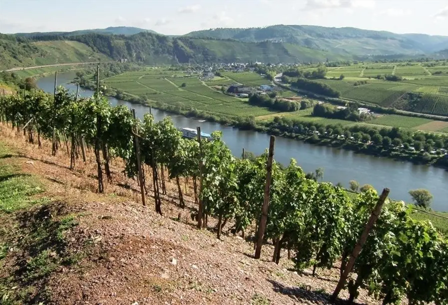 Reil, Moezel, Weinhaus Nalbach