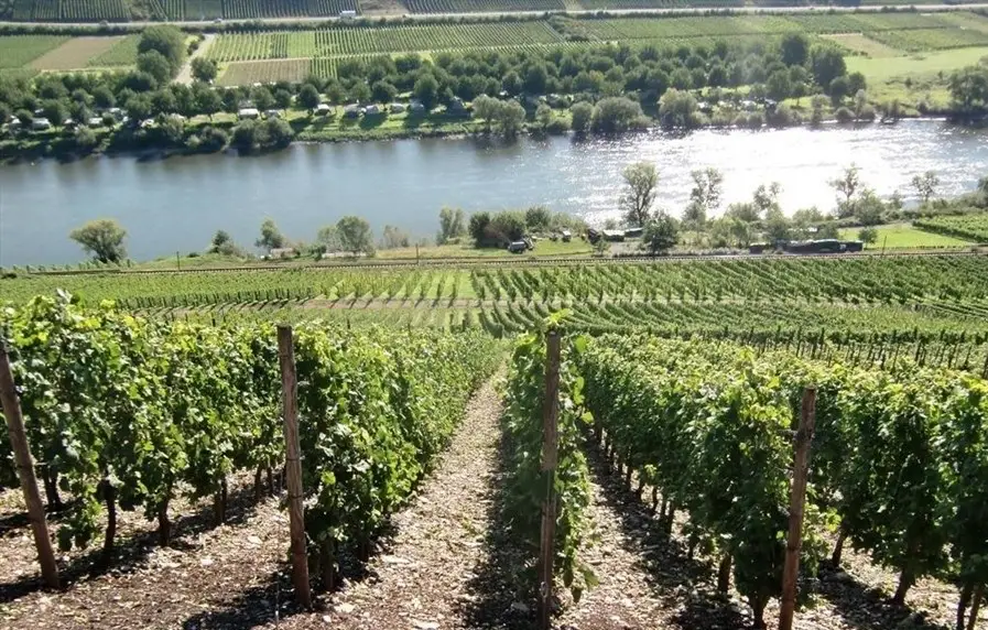 Reil, Moezel, Weinhaus Nalbach