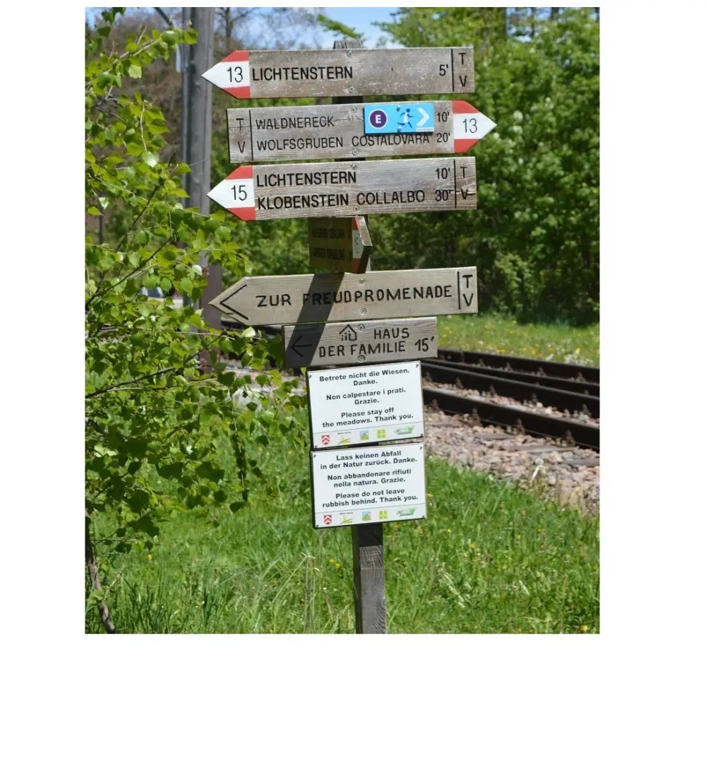 Vakantie Dolomieten - trein en hotel - Ritten hotel Lichtenstern