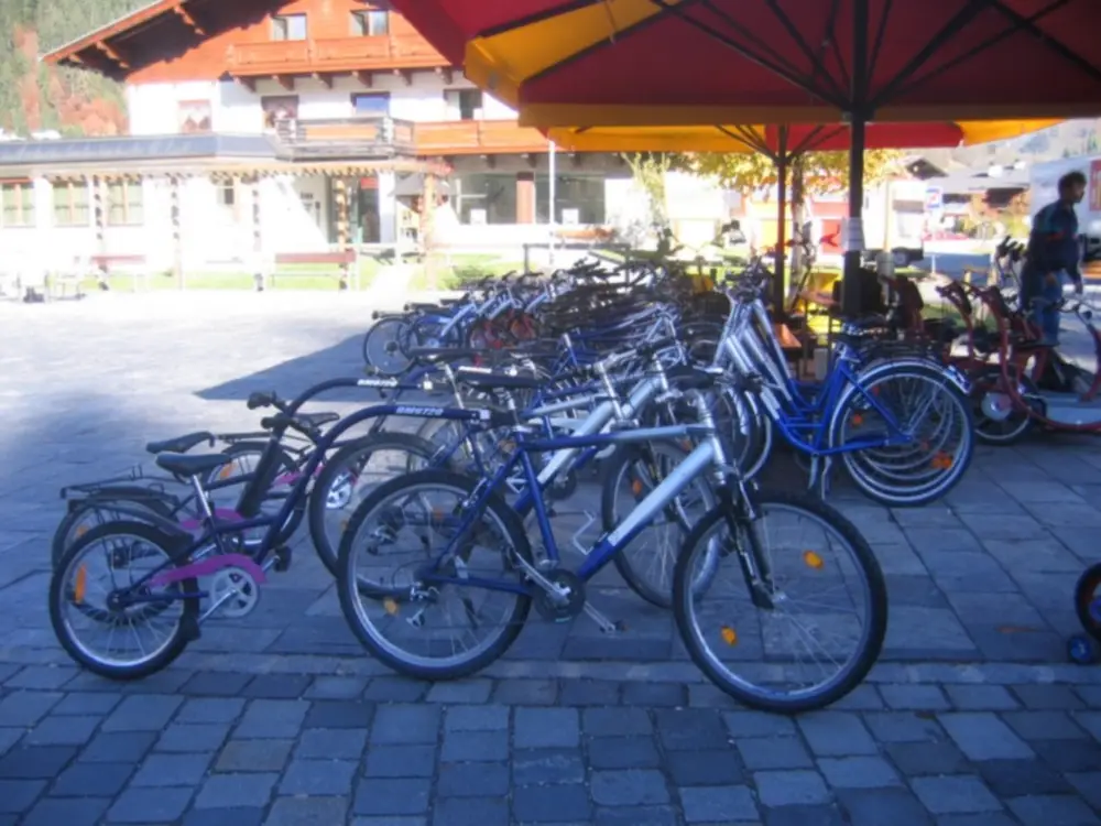 Vakantie Werfenweng - Trein en Hotel - Alpina