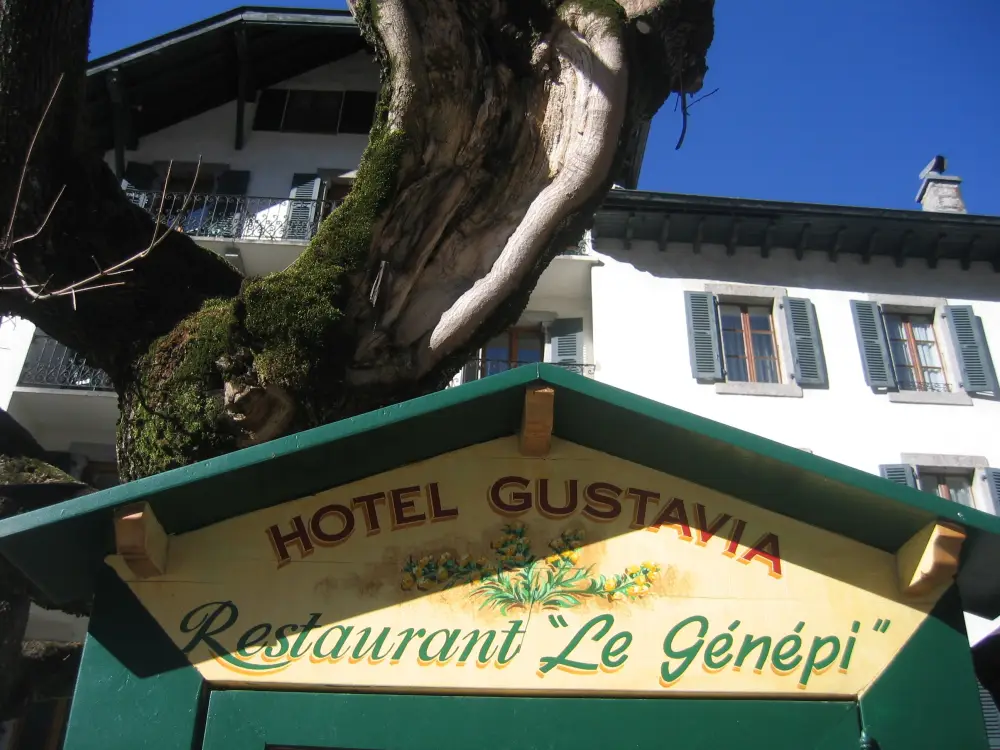 treinrondreis Franse Alpen