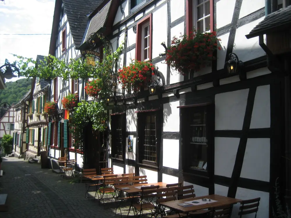 Vakantie Unkel - Trein en Hotel - Rheinhotel