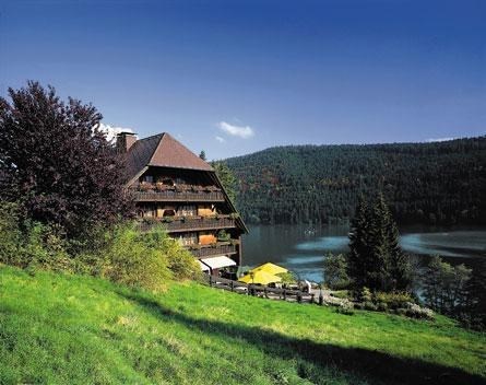 Vakantie Zwarte Woud - Trein en Hotel - Titisee Alemannenhof