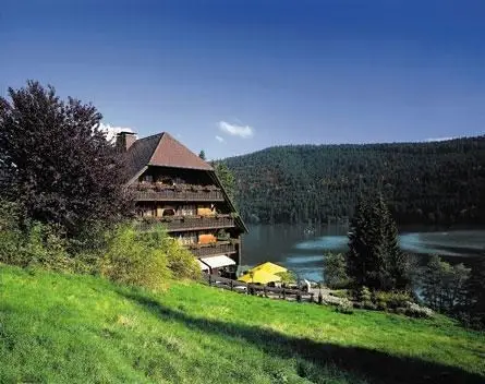 Vakantie Zwarte Woud - Trein en Hotel - Titisee Alemannenhof
