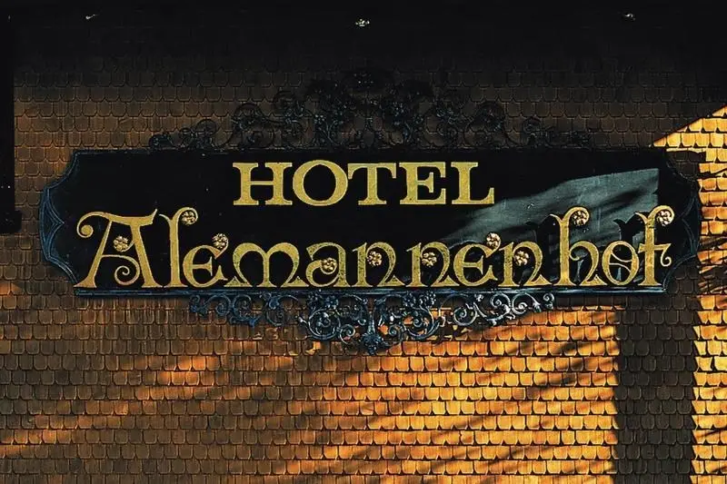 Vakantie Zwarte Woud - Trein en Hotel - Titisee Alemannenhof