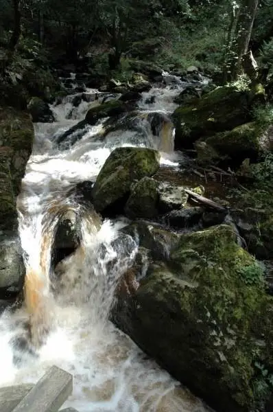 Vakantie Zwarte Woud - Trein en Hotel - Titisee Alemannenhof