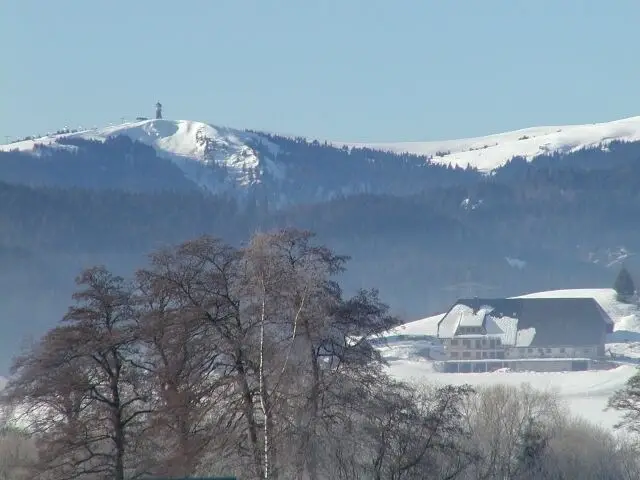 Vakantie Zwarte Woud - Trein en Hotel - Titisee Alemannenhof