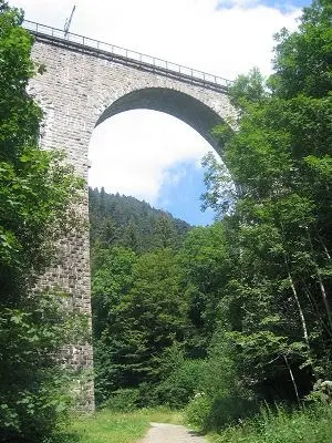 Vakantie Zwarte Woud - Trein en Hotel - Titisee Alemannenhof