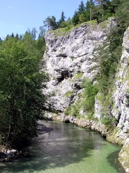 Vakantie Zwarte Woud - Trein en Hotel - Titisee Alemannenhof