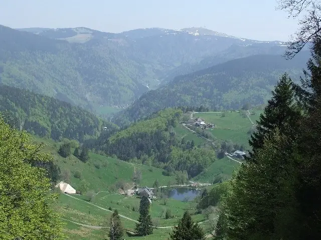 Vakantie Zwarte Woud - Trein en Hotel - Titisee Alemannenhof