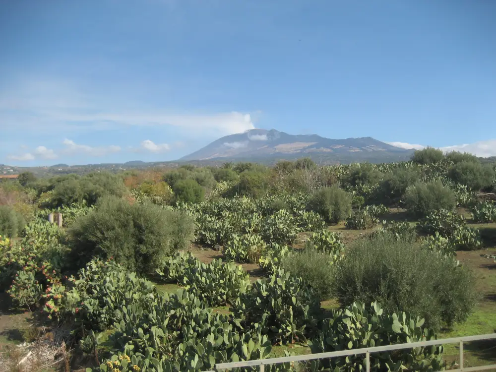 Sicilie per trein | Rondreis Italie per Trein