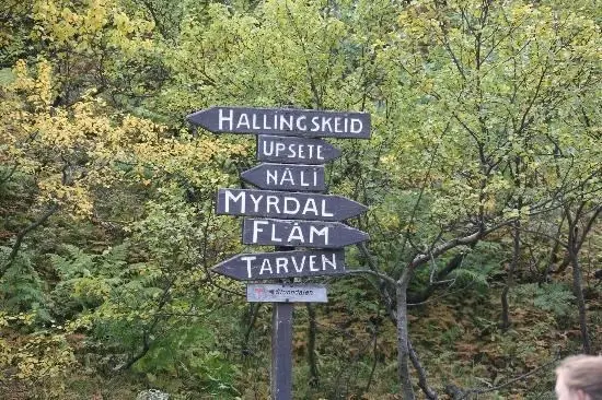 Vakantie Vatnahalsen-trein en hotel-Hoyfjellshotell