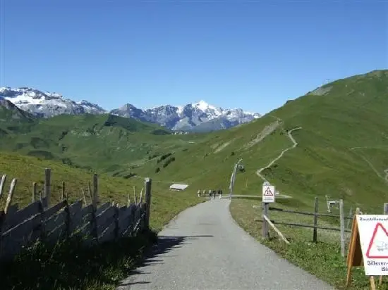 Vakantie Adelboden - Trein en Hotel - Steinmattli