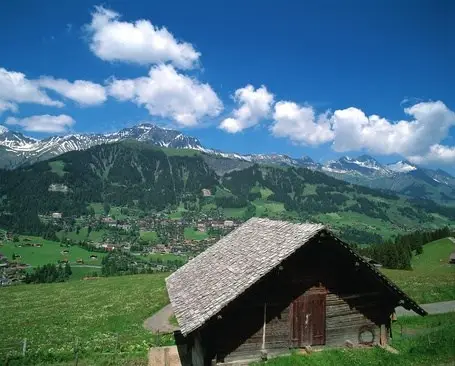 Vakantie Adelboden - Trein en Hotel - Steinmattli