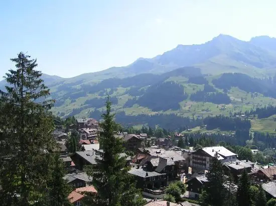 Vakantie Adelboden - Trein en Hotel - Steinmattli