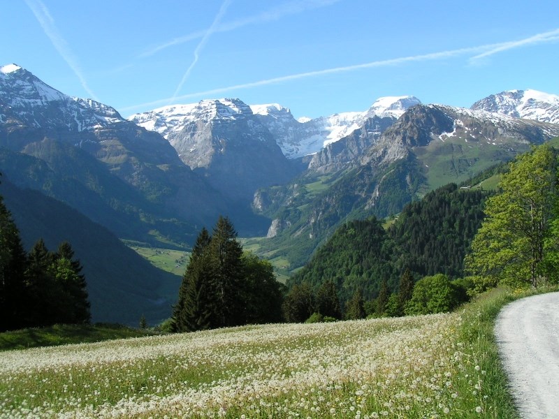 Rondreis Zwitserland per trein - Autovrij Dorpen