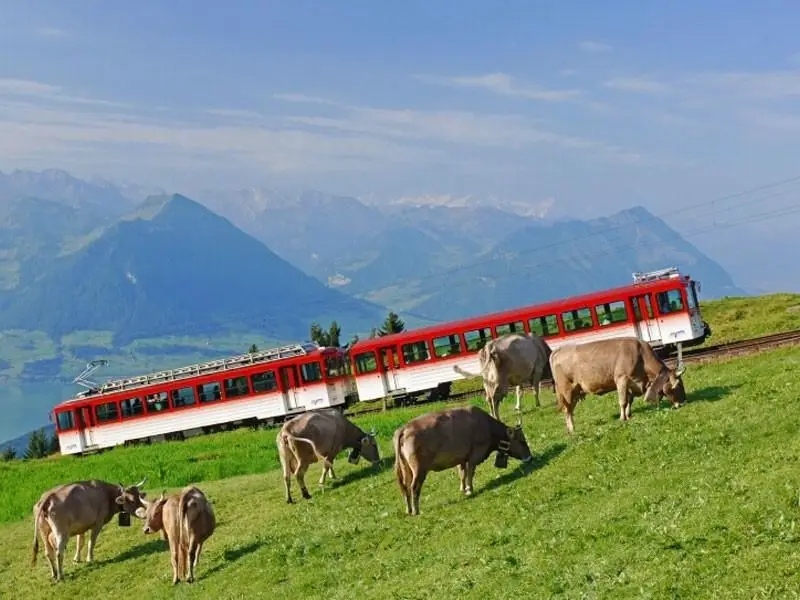 Vakantie Rigi - Trein en Hotel - Alpina