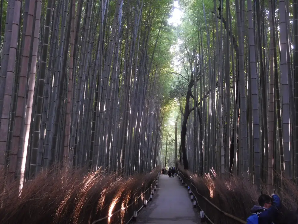 Met de trein door Japan