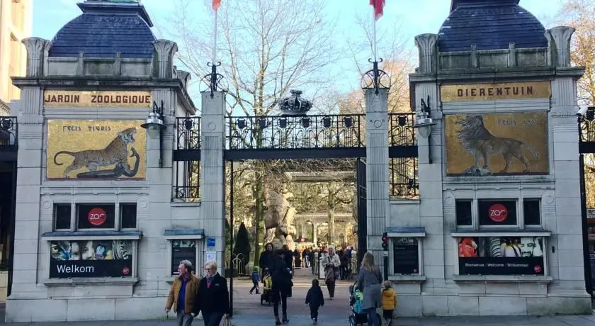 Stedentrip Antwerpen