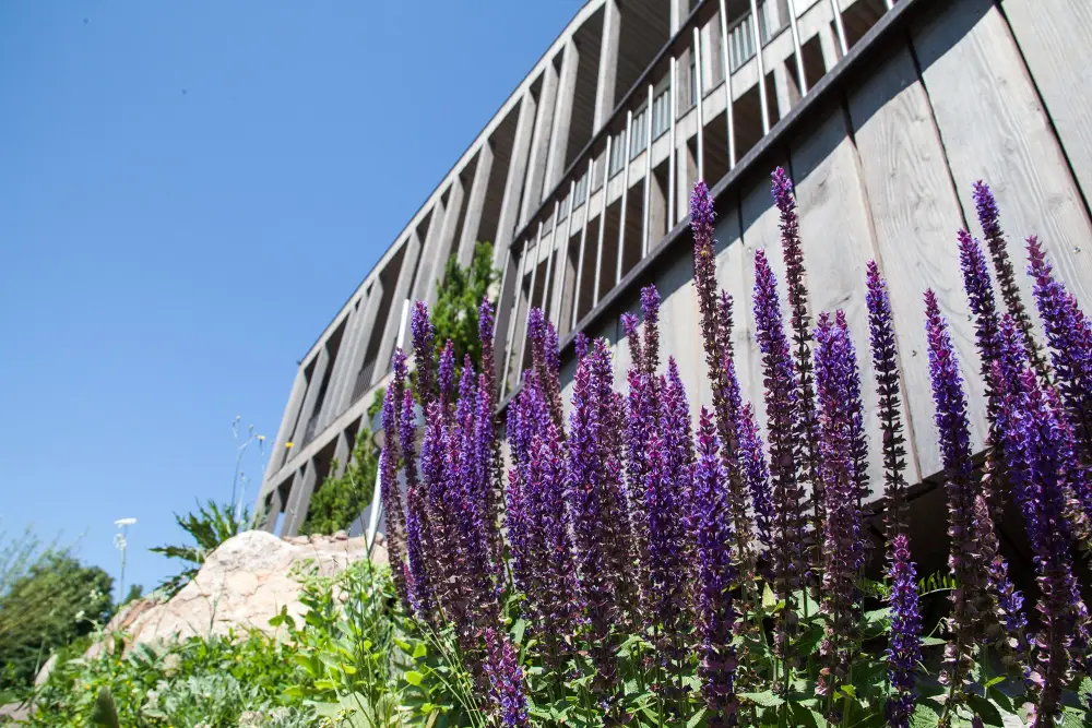 Vakantie Dolomieten - trein en hotel - Ritten hotel Lichtenstern
