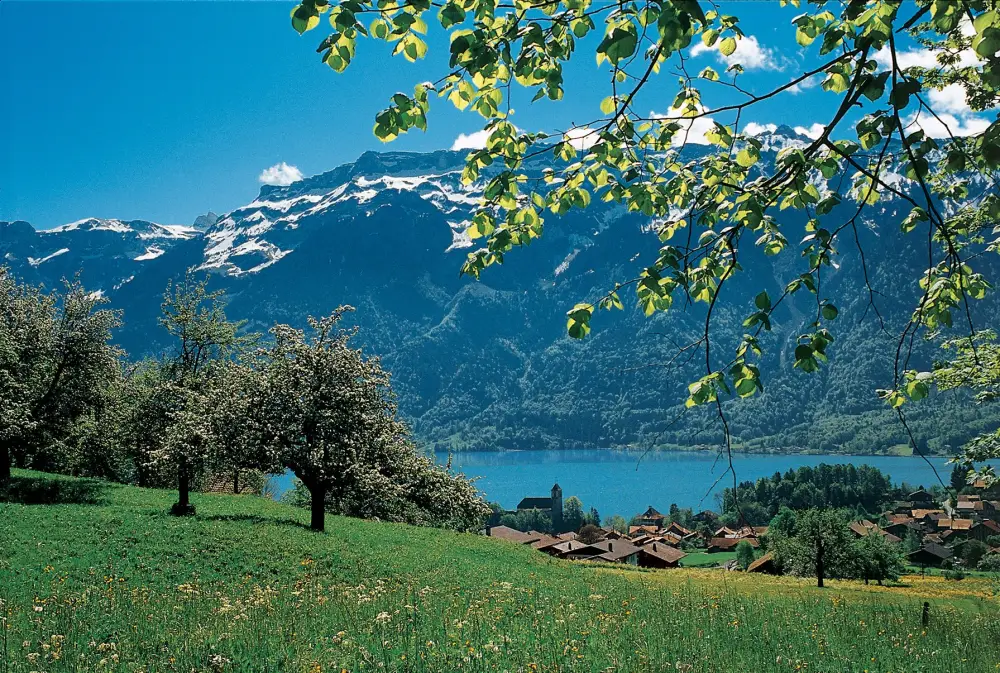 Treinrondreis Berner Oberland