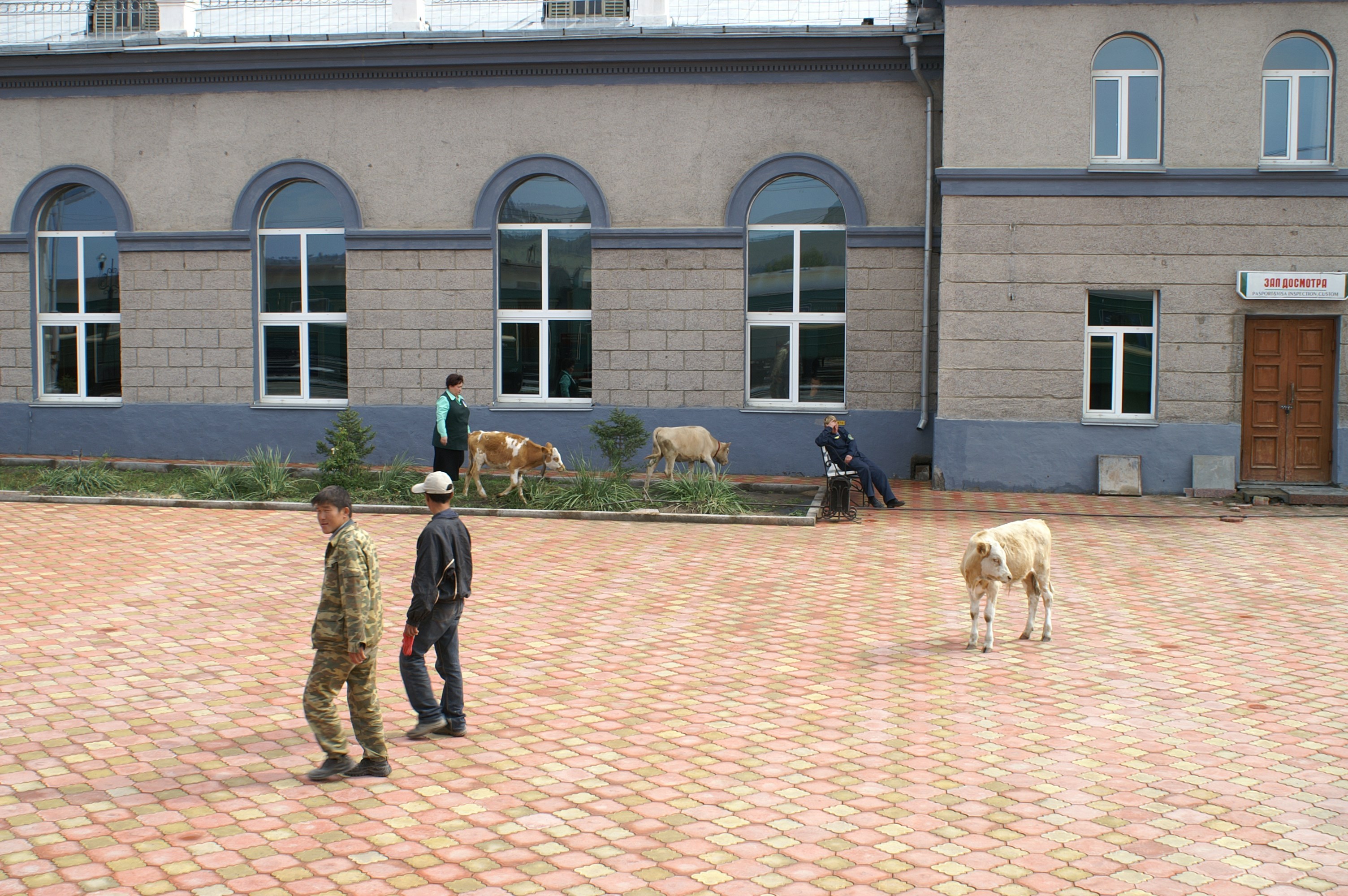 Transsiberie Express en Transomgolie Express - Tickets en Kosten