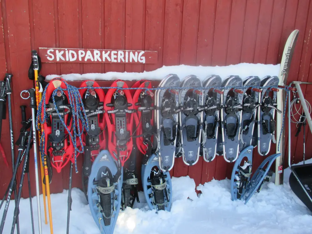 Trein Ijs reis Lapland-Zweden