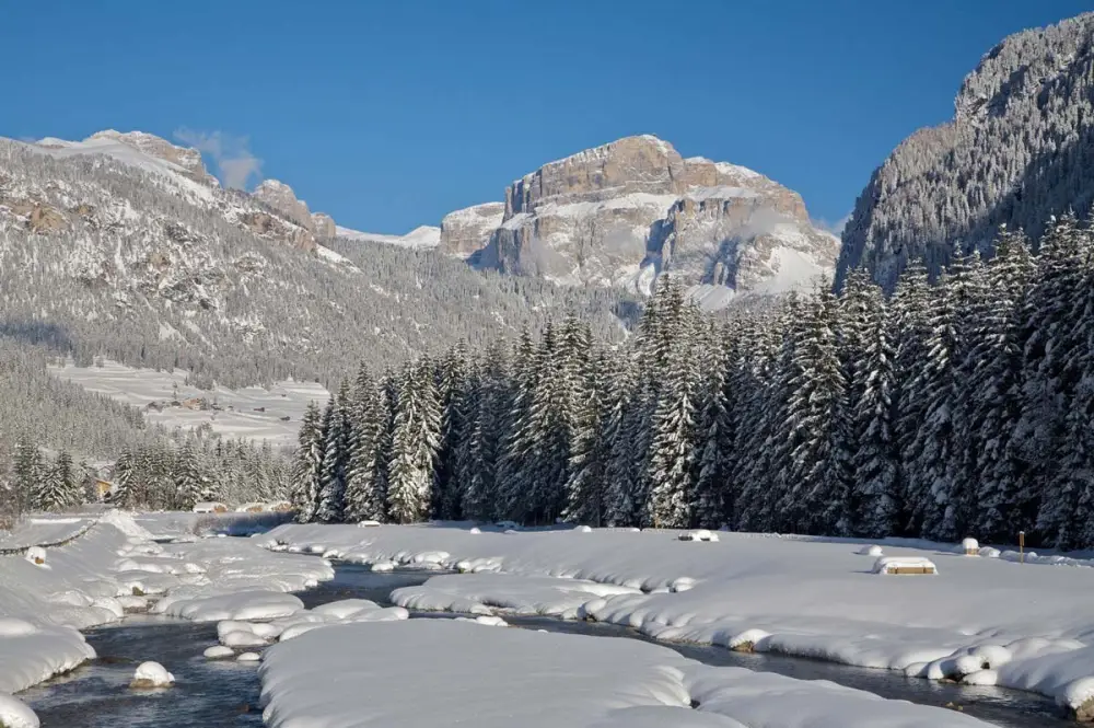 Wintersportvakantie Campitello Val di Fassa - Trein en Hotel - Hotel Sella Ronda***