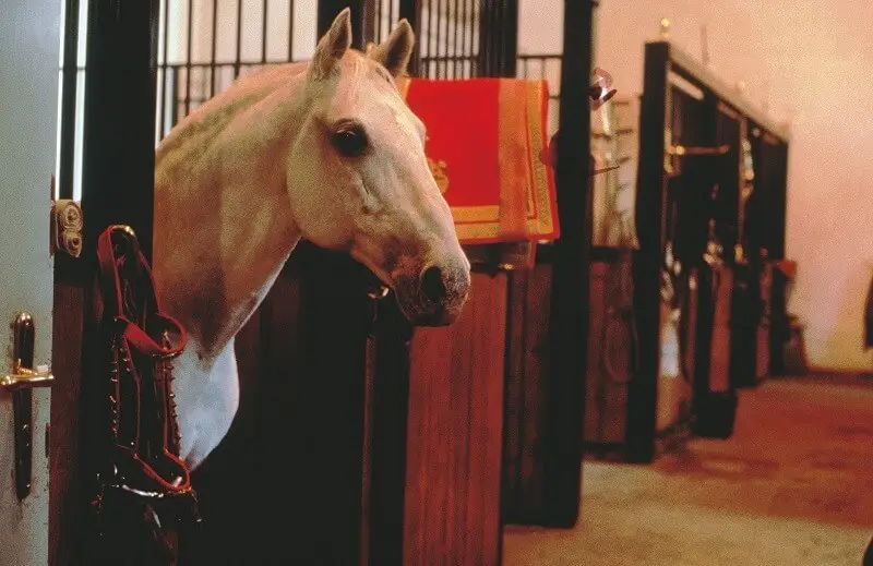 Hotel am Brillantengrund*** | Vienna City Break - Train and Hotel