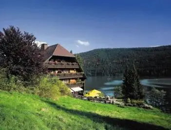 Alemannenhof Titisee - Holidays by train Germany 