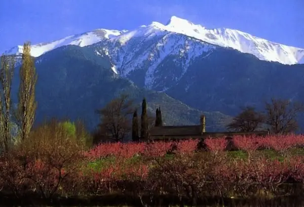 Trein naar Frankrijk | Goedkope Internationale Treinkaartjes