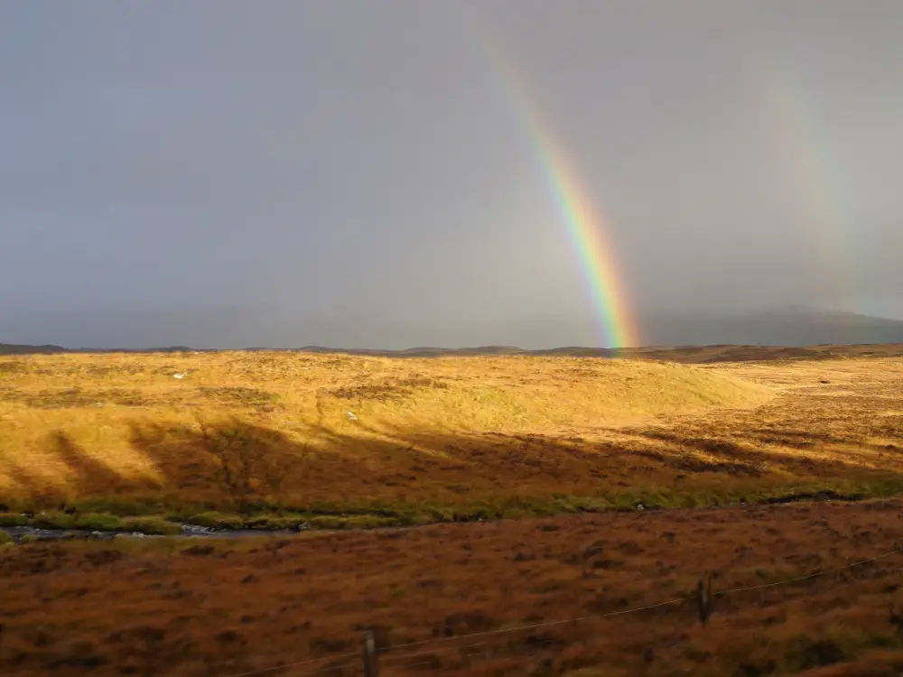Vakantie Trein/wandelreis Schotland - Trein en Hotel - Rannoch