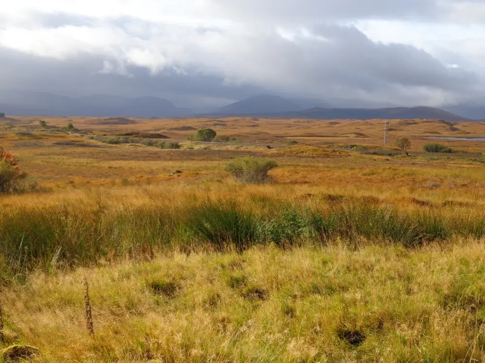 Vakantie Trein/wandelreis Schotland - Trein en Hotel - Rannoch