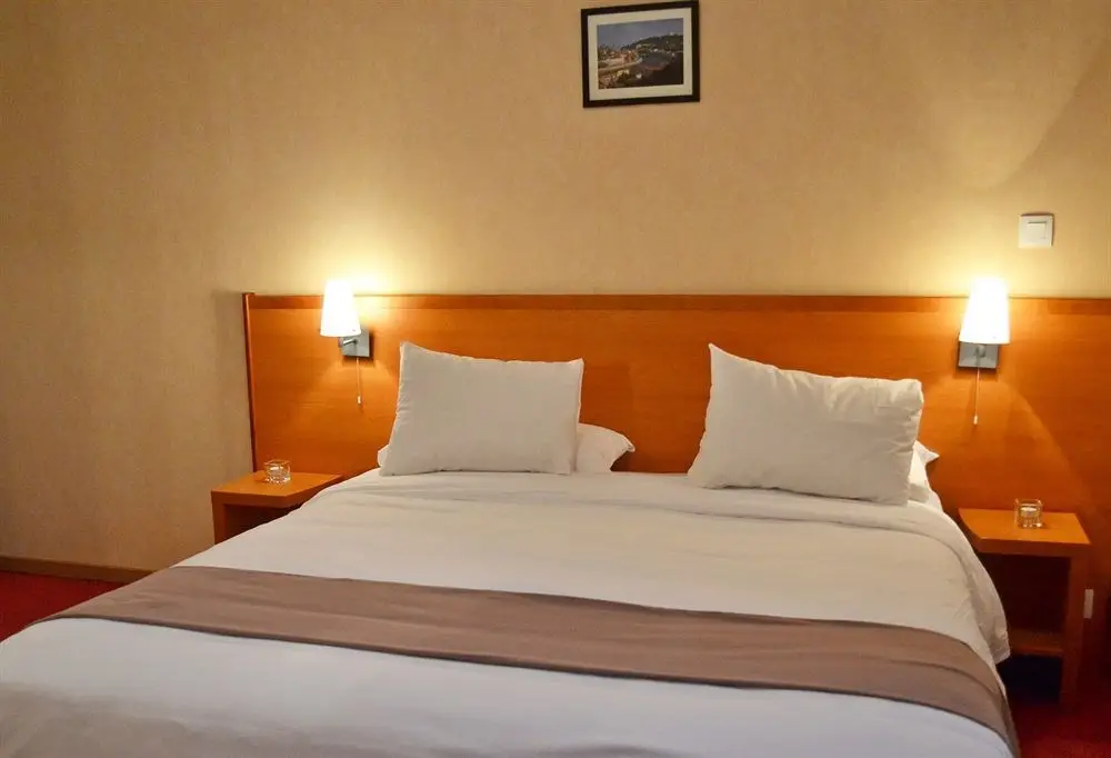 Park & Suites Elegance | Lyon City Break - Train and Hotel