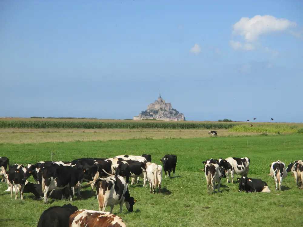 Treinrondreis Frankrijk