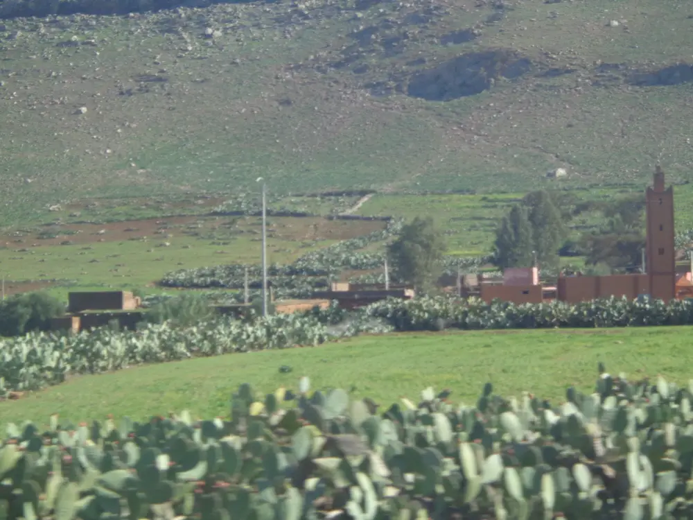 Rondreis Marokko - Oa Langs de Koningssteden