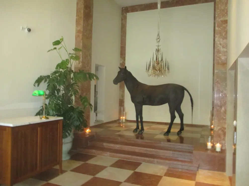 Stedentrip Wenen, Hotel Grand Ferdinand*****, trein en hotel